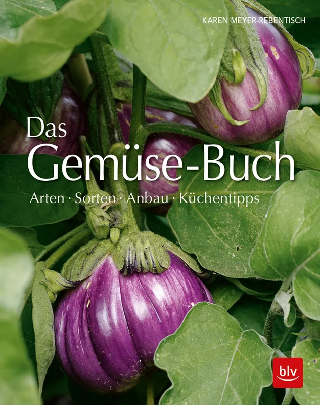 fischers-lagerhaus-3534974