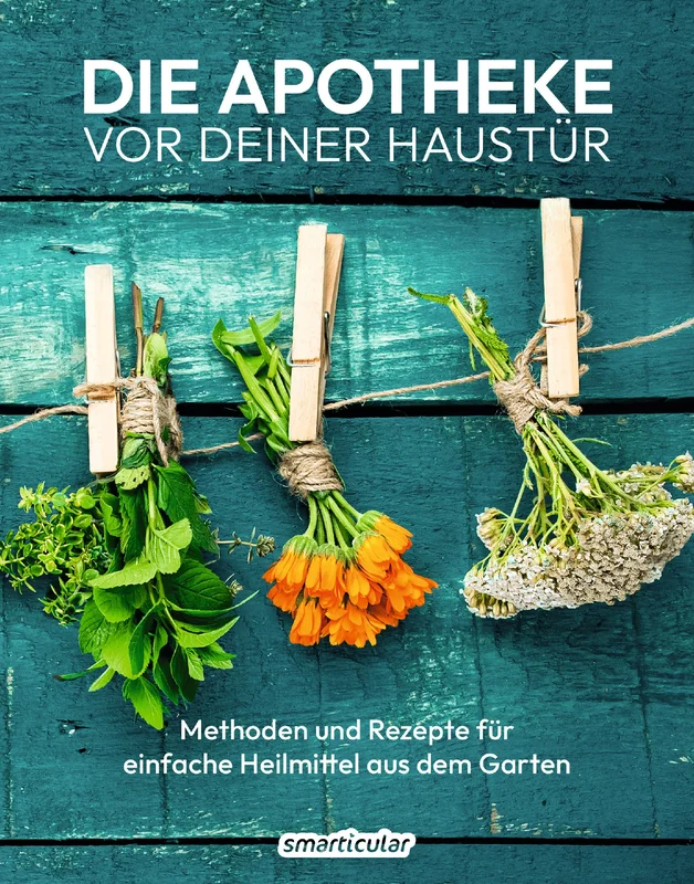 fischers-lagerhaus-3536394