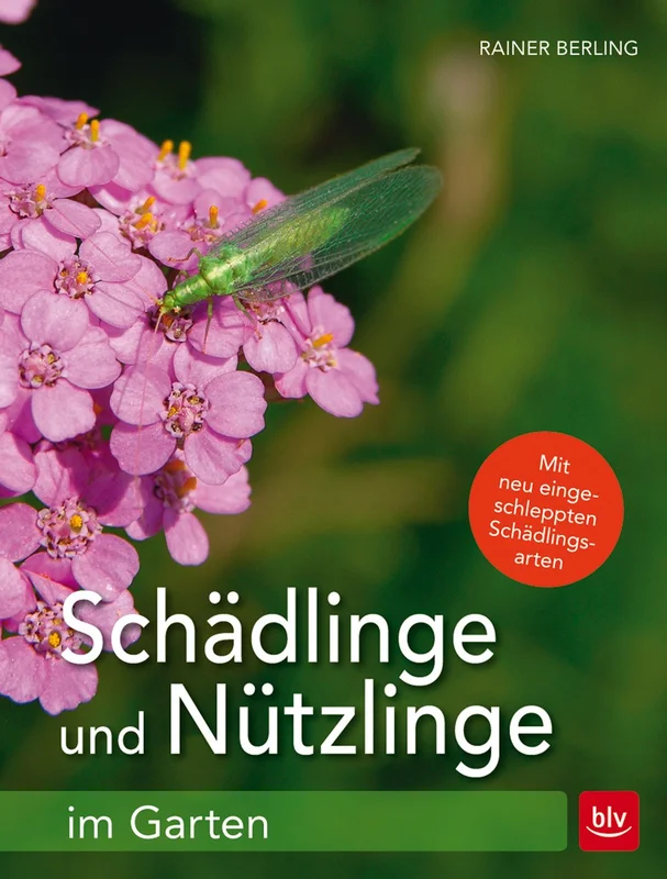 fischers-lagerhaus-3536847