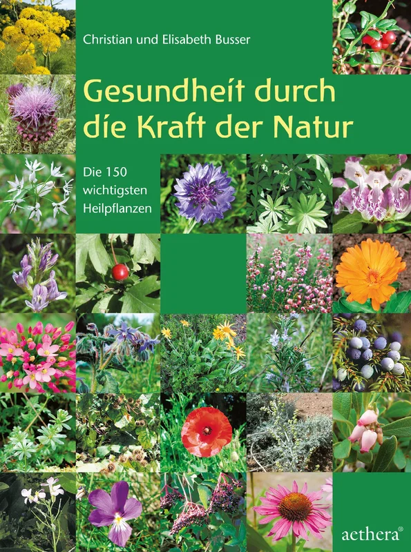 fischers-lagerhaus-3539139