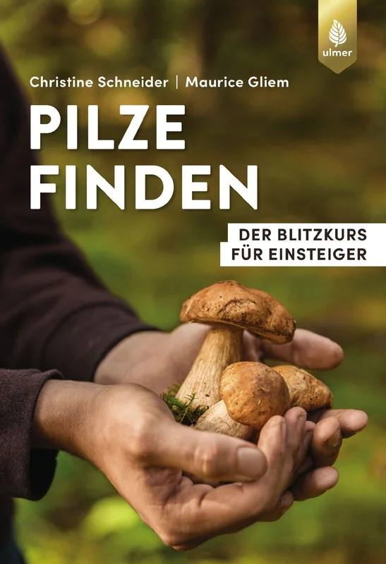fischers-lagerhaus-3540225
