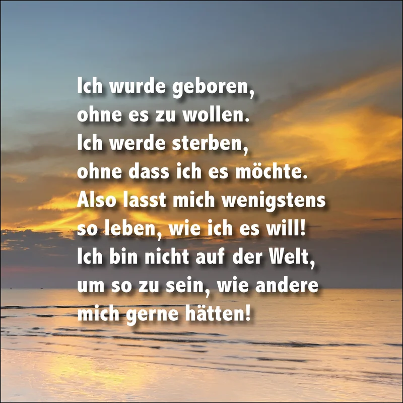 fischers-lagerhaus-3540964