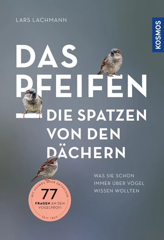 fischers-lagerhaus-3540985