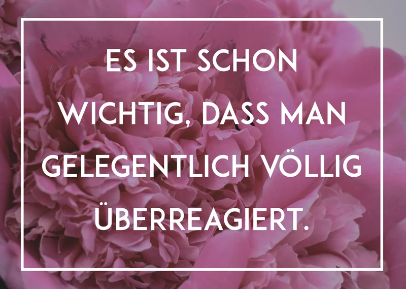 fischers-lagerhaus-3541029