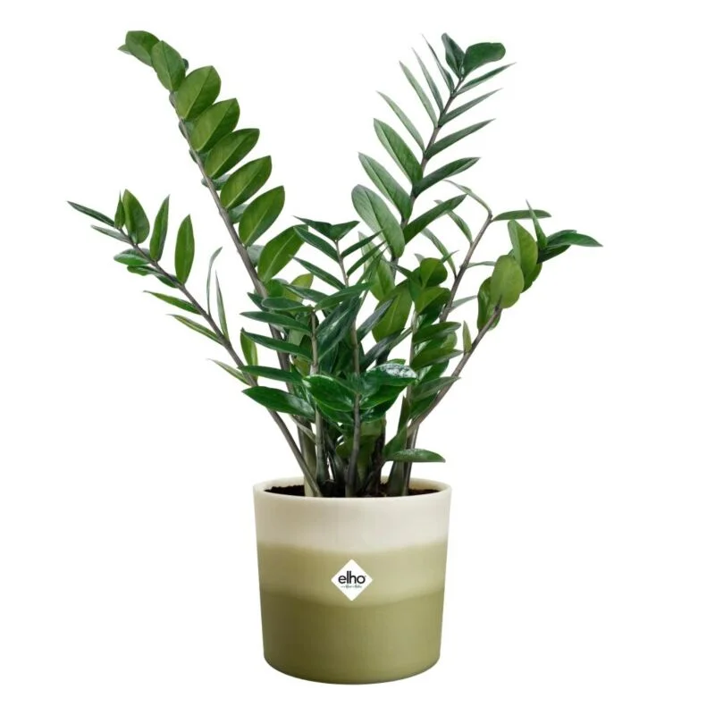 gartencenterleurs-3501656