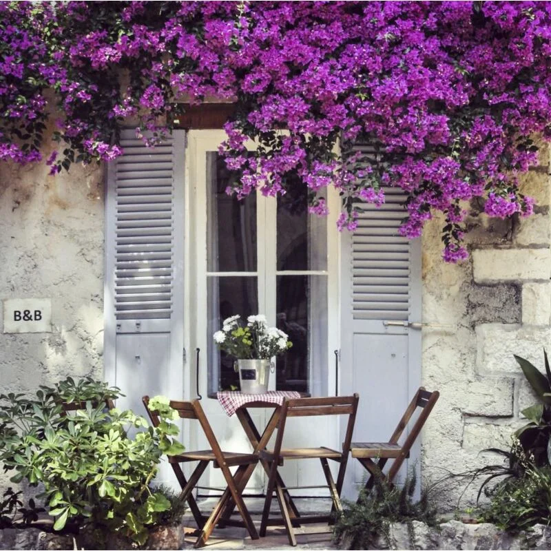 gartencenterleurs-3502251