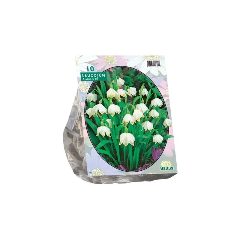 gartencenterleurs-3516803