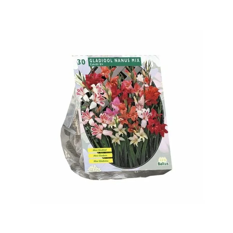 gartencenterleurs-3516833