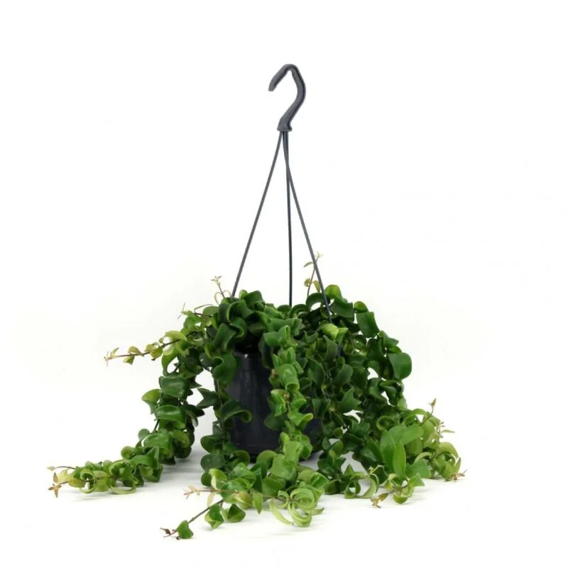 gartencenterleurs-3526365