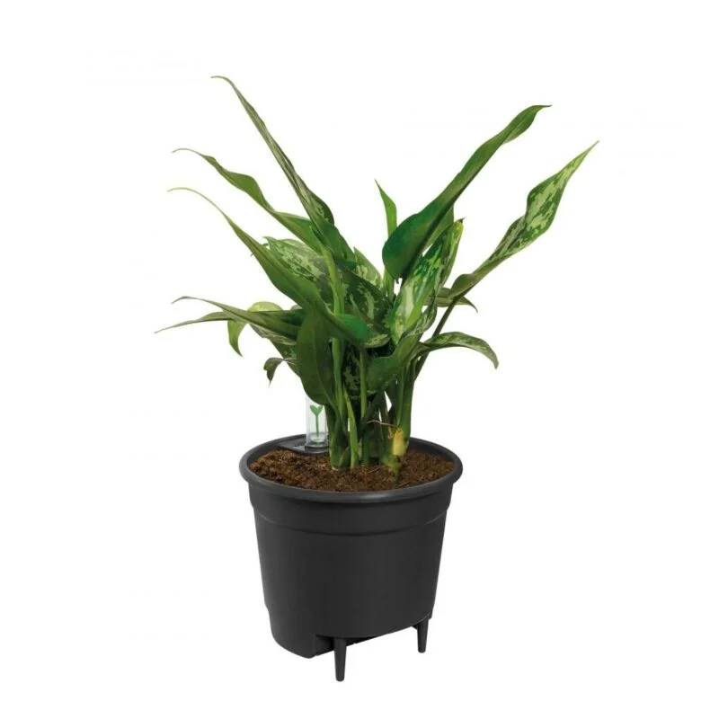 gartencenterleurs-3543130