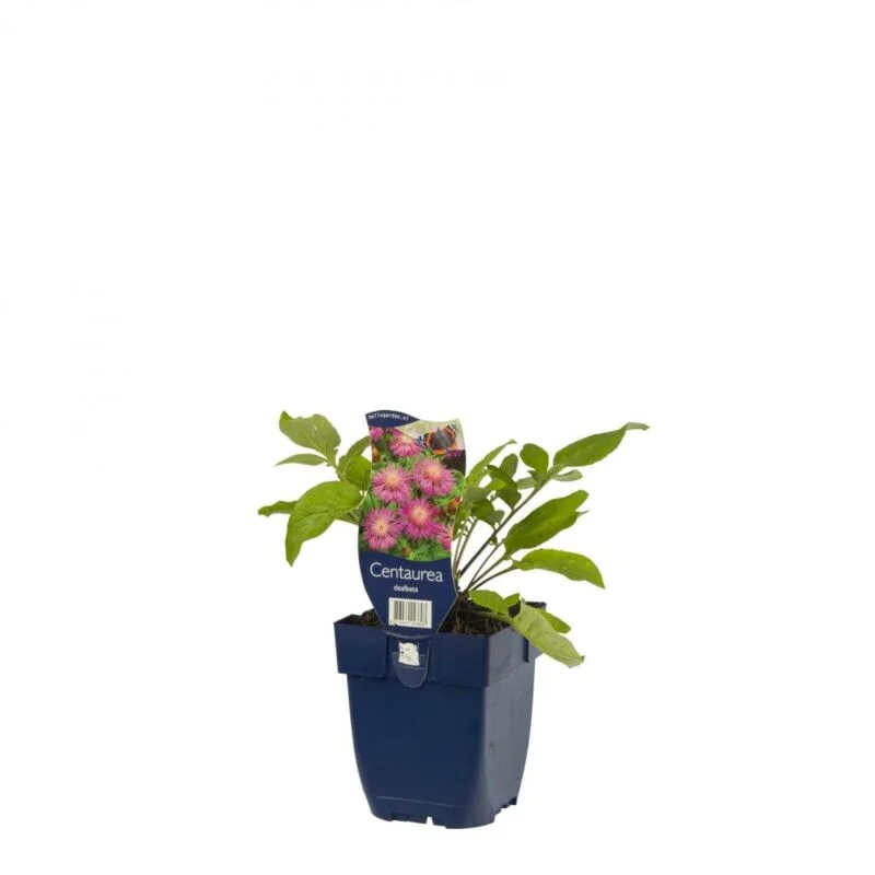 gartencenterleurs-3554264