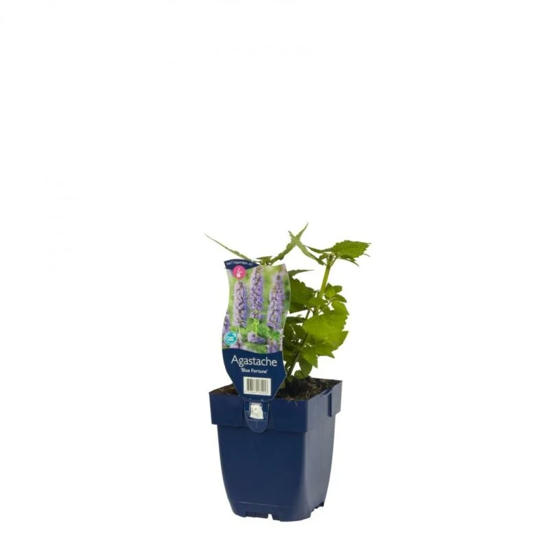 gartencenterleurs-3554410