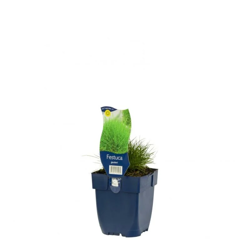 gartencenterleurs-3554575
