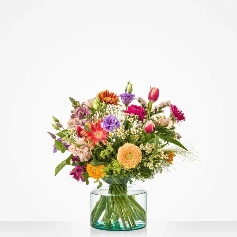 gartencenterleurs-3556501