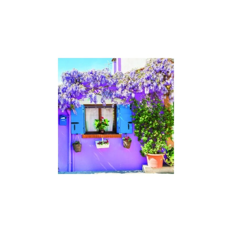 gartencenterleurs-3739463