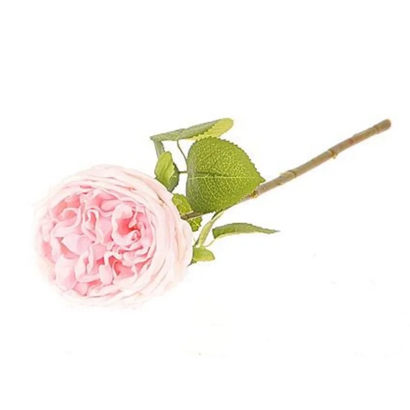 gartencenterleurs-3826316
