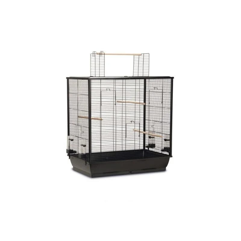 gartencenterleurs-3826396