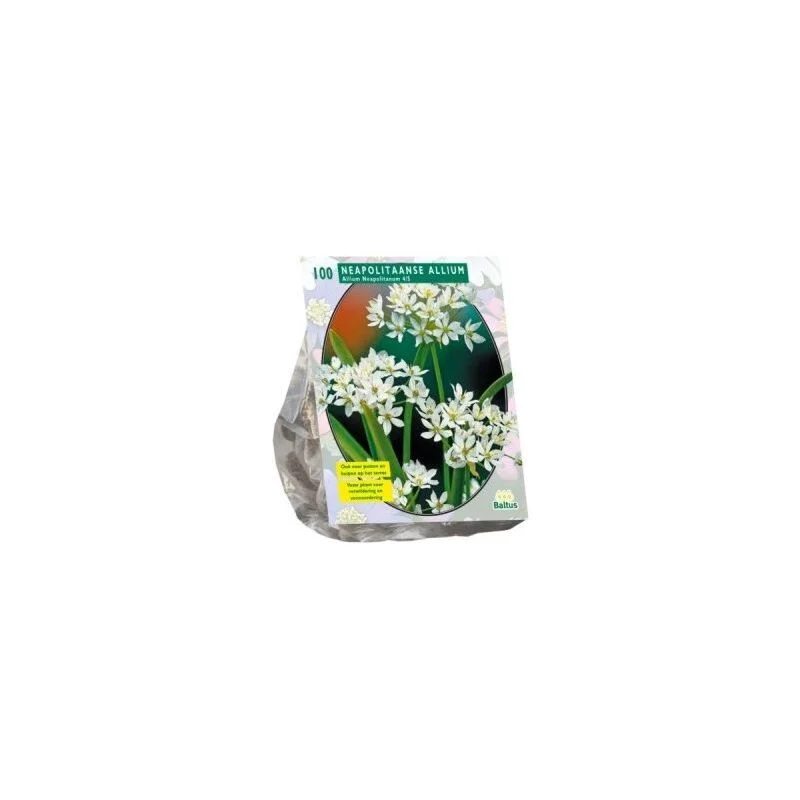 gartencenterleurs-3843210