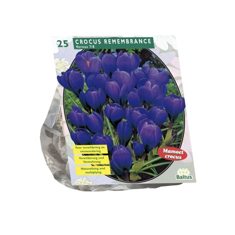 gartencenterleurs-3843234