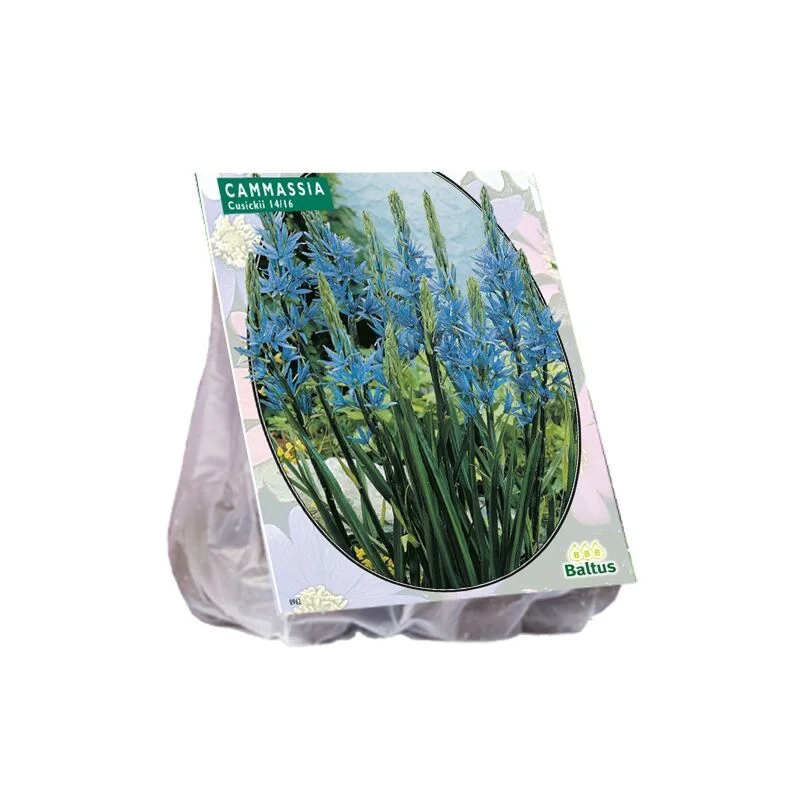gartencenterleurs-3843240