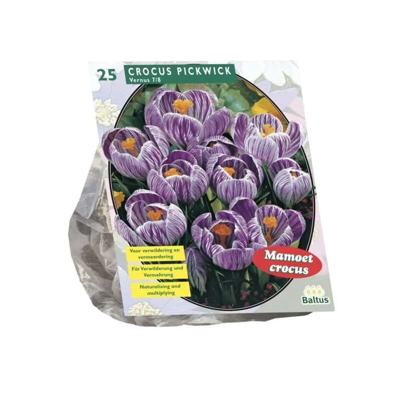 gartencenterleurs-3843241