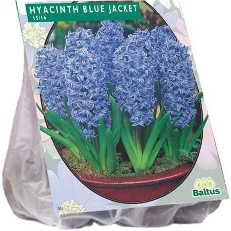 gartencenterleurs-3843249