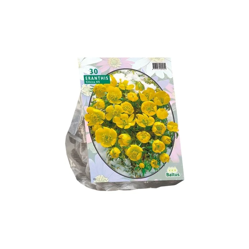 gartencenterleurs-3843252