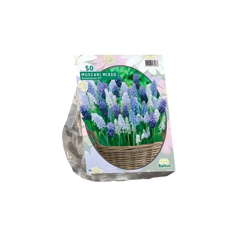 gartencenterleurs-3843257