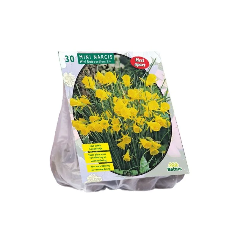 gartencenterleurs-3843267
