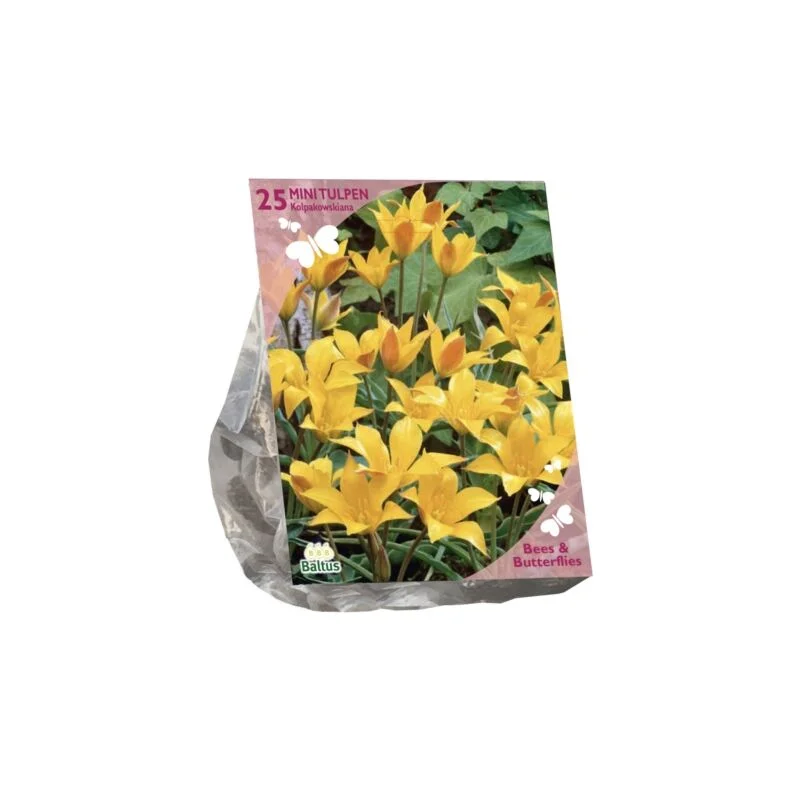 gartencenterleurs-3843281