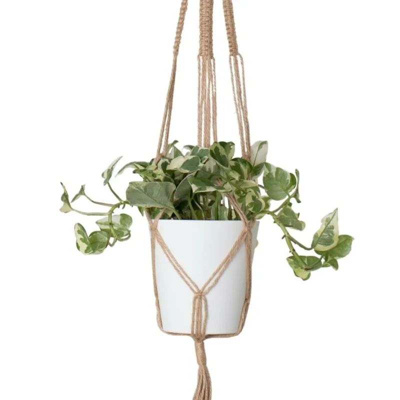 gartencenterleurs-3844081
