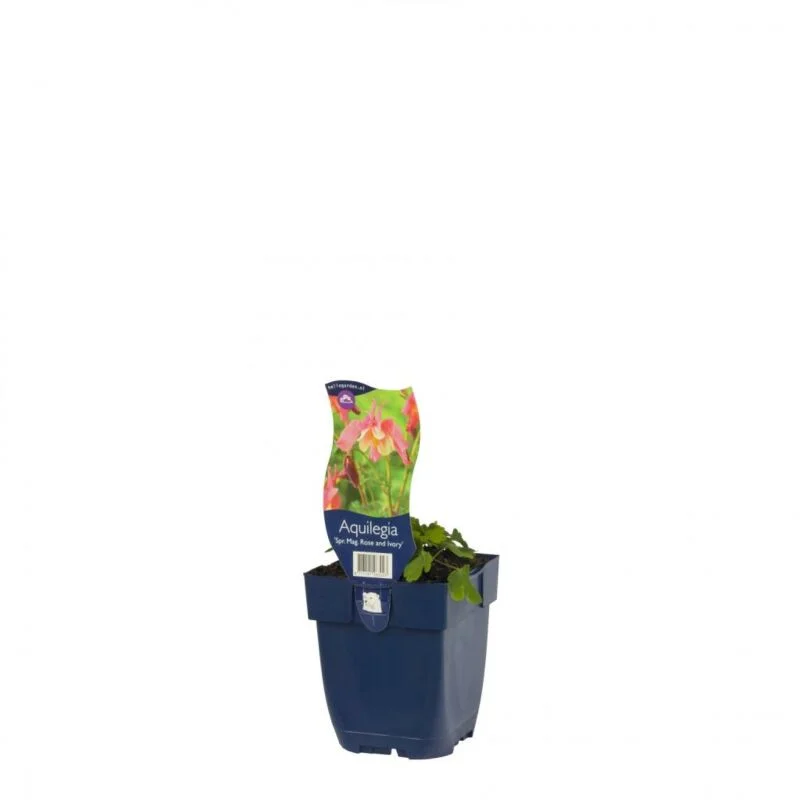 gartencenterleurs-3847760