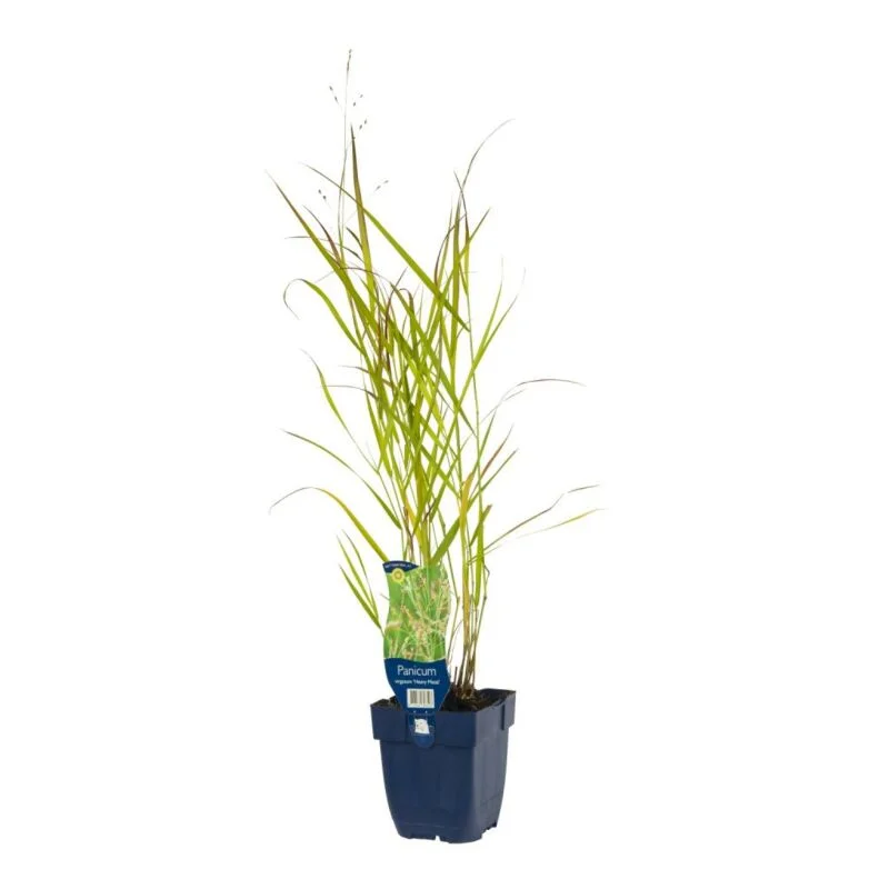 gartencenterleurs-3848036