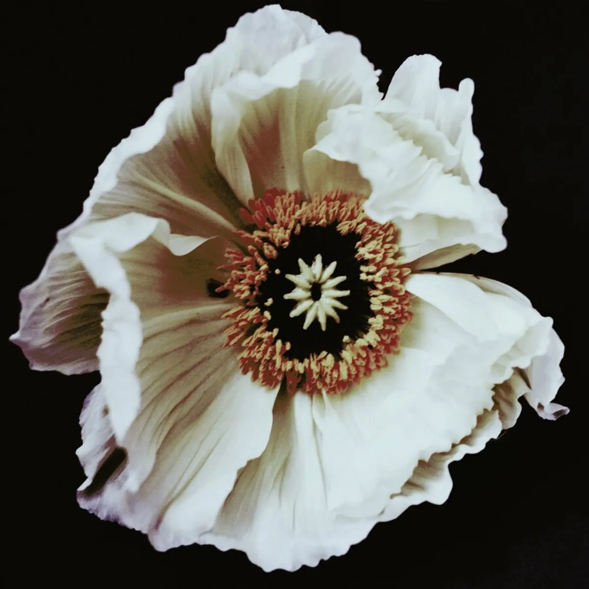 juniqe-3830417