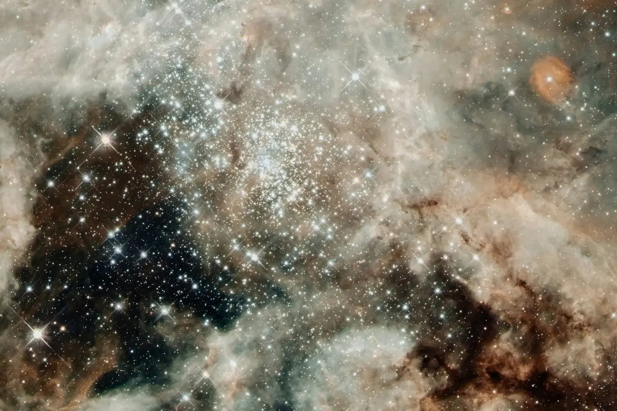 juniqe-3859605