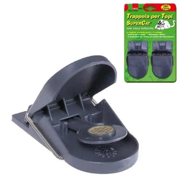 kiwistore-3540899