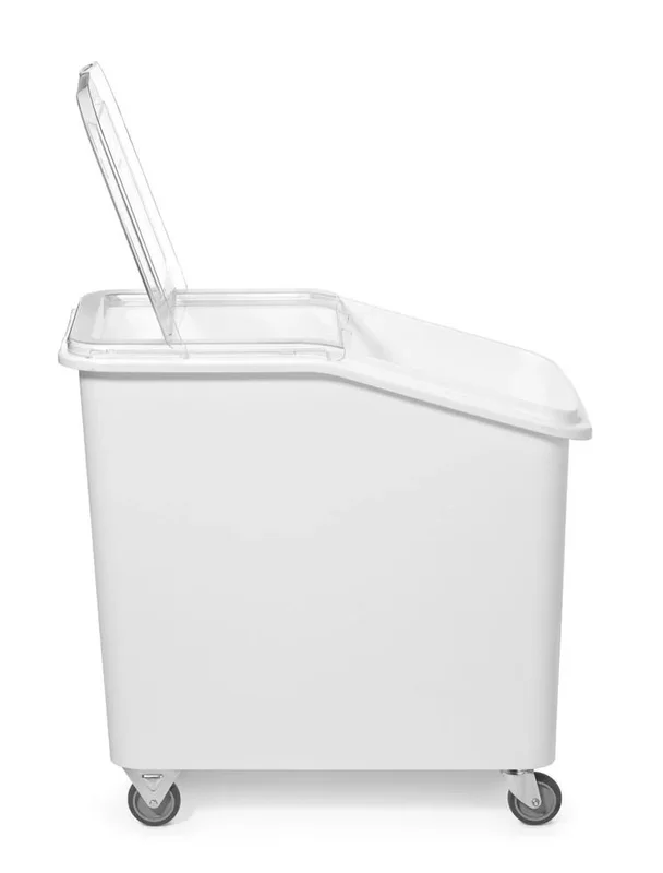 kiwistore-3543804