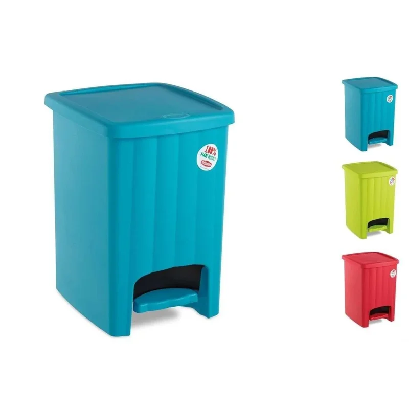 kiwistore-3549575