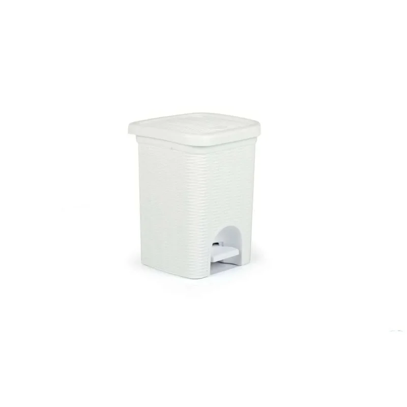 kiwistore-3549585