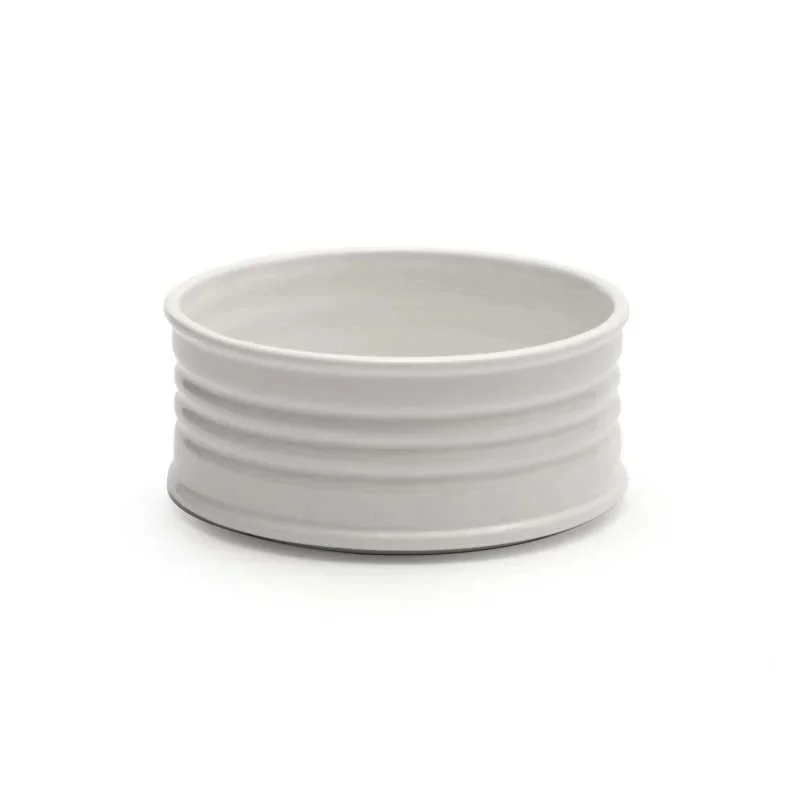 kiwistore-3550293