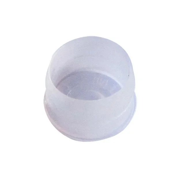 kiwistore-3553068
