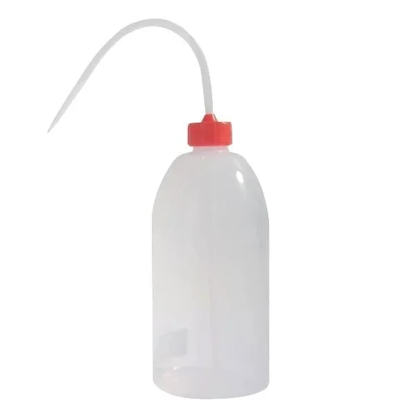 kiwistore-3553217