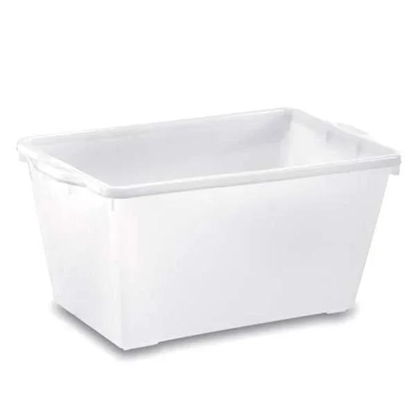 kiwistore-3553572