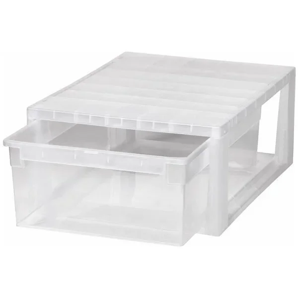 kiwistore-3553858