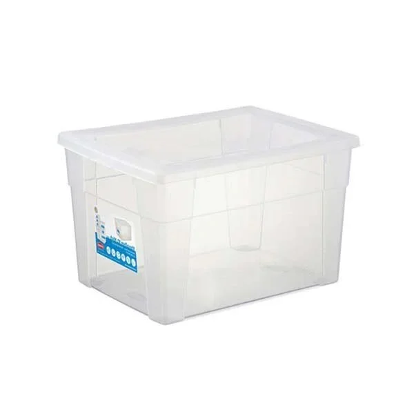 kiwistore-3553877