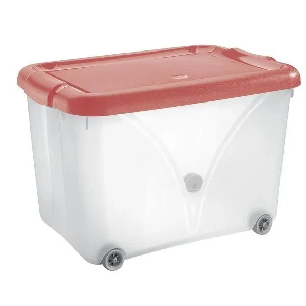 kiwistore-3554220