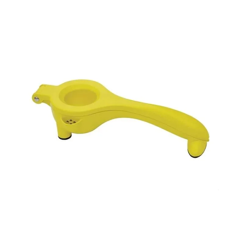 kiwistore-3554875