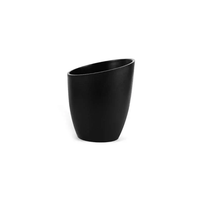 kiwistore-3554882