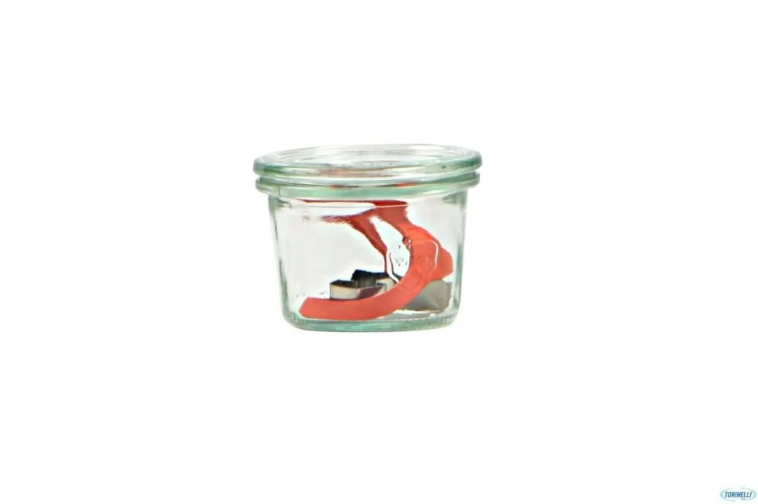 kiwistore-3555310