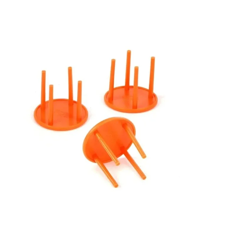 kiwistore-3561524